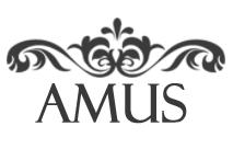 hurtownia spożywcza Amus